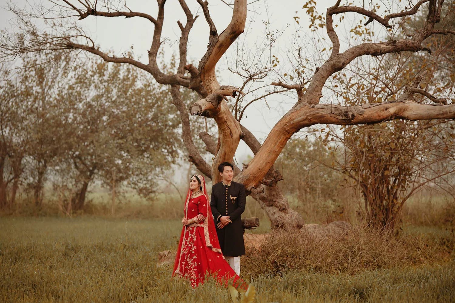 Couple under a twisted tree in a misty field
