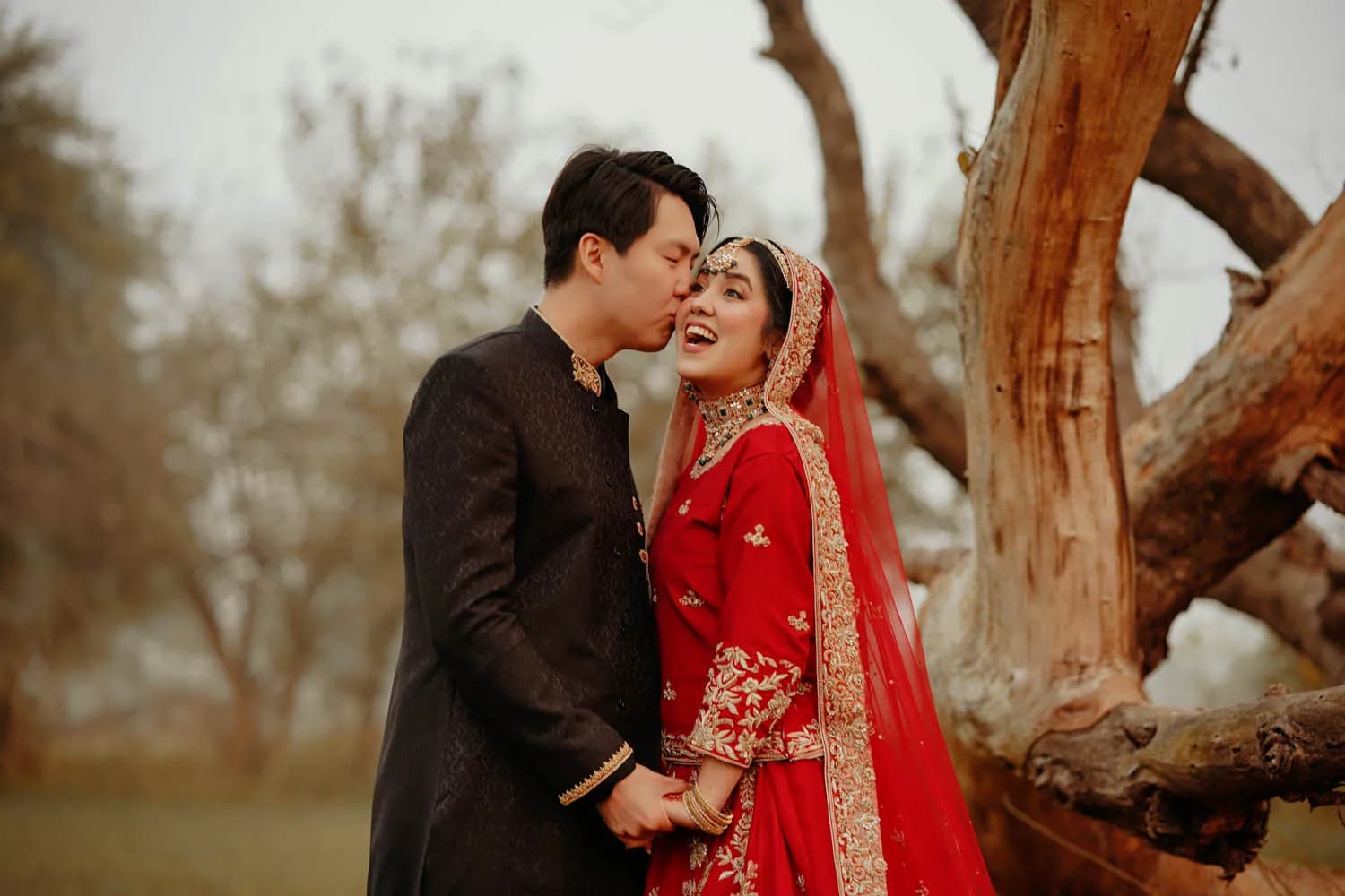 Groom and bride in red beneath a gnarled tree